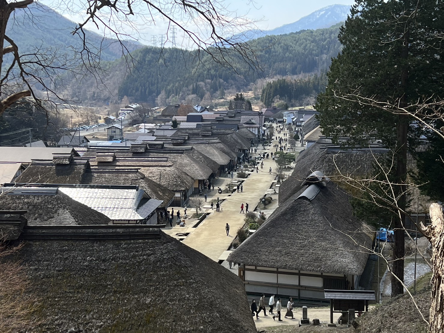 S__33529899